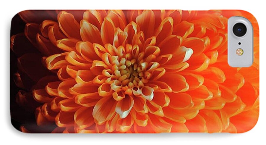 Orange Chrysanthemum - Phone Case