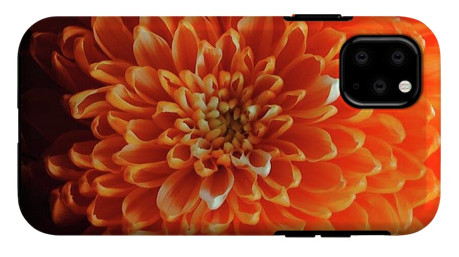 Orange Chrysanthemum - Phone Case