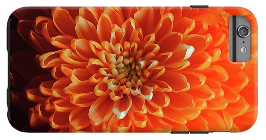 Orange Chrysanthemum - Phone Case