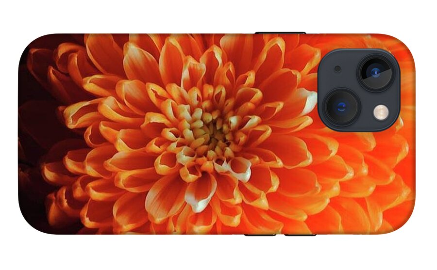 Orange Chrysanthemum - Phone Case
