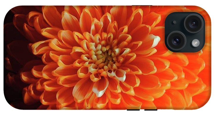 Orange Chrysanthemum - Phone Case