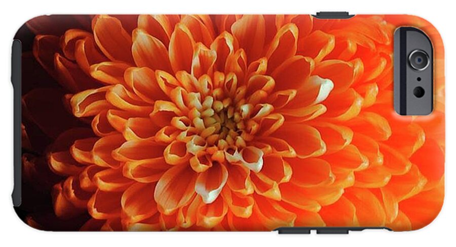 Orange Chrysanthemum - Phone Case