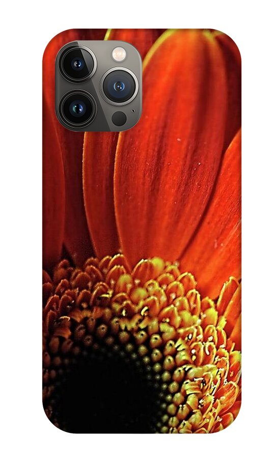 Orange Daisy Close Up - Phone Case