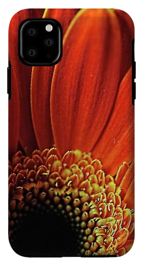 Orange Daisy Close Up - Phone Case
