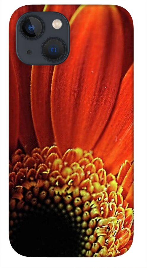 Orange Daisy Close Up - Phone Case