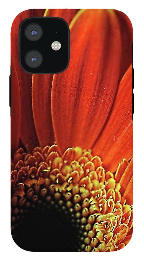 Orange Daisy Close Up - Phone Case