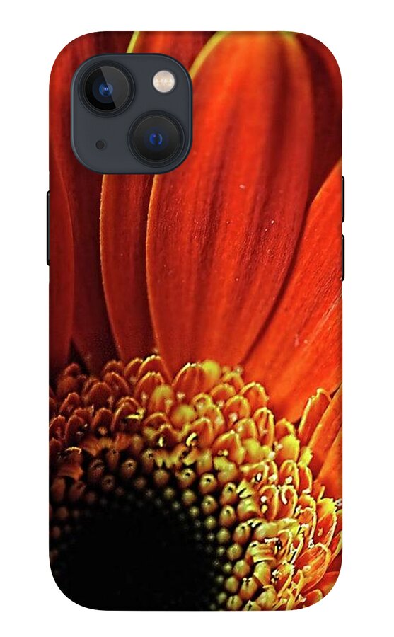 Orange Daisy Close Up - Phone Case