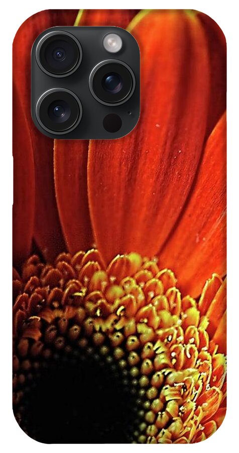 Orange Daisy Close Up - Phone Case