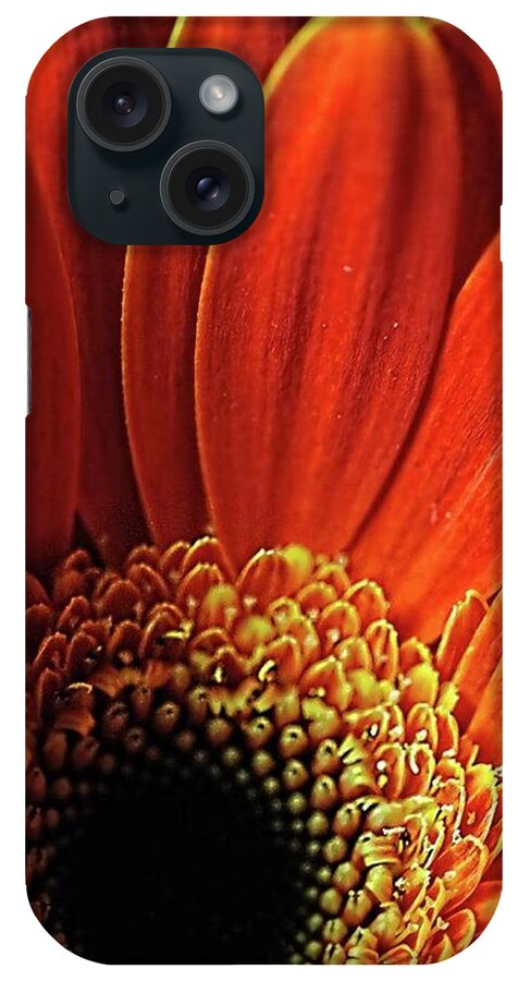 Orange Daisy Close Up - Phone Case