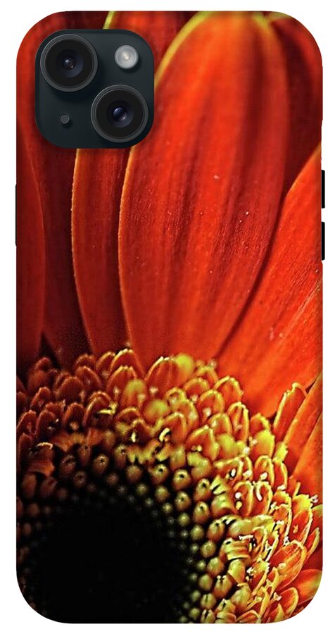 Orange Daisy Close Up - Phone Case