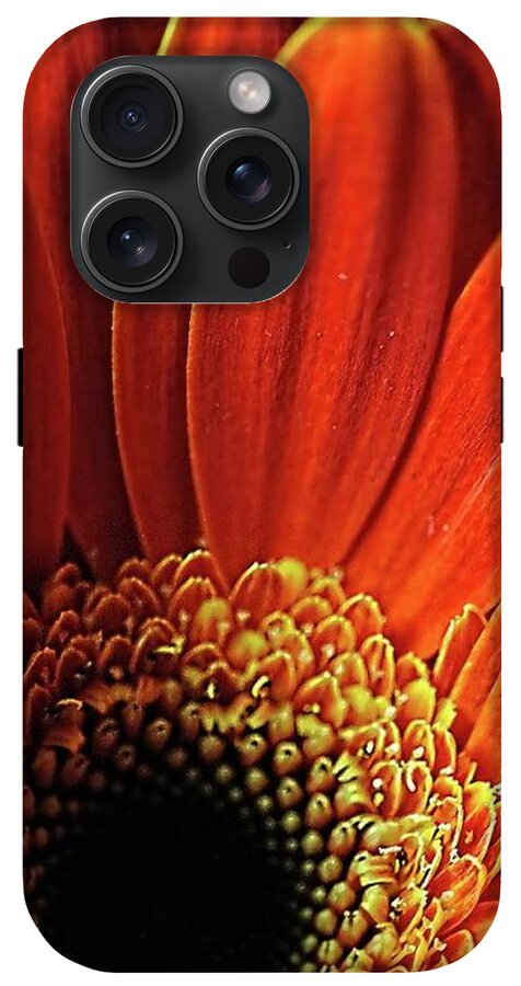 Orange Daisy Close Up - Phone Case