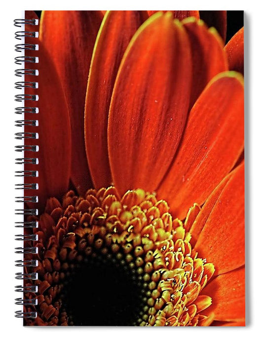 Orange Daisy Close Up - Spiral Notebook