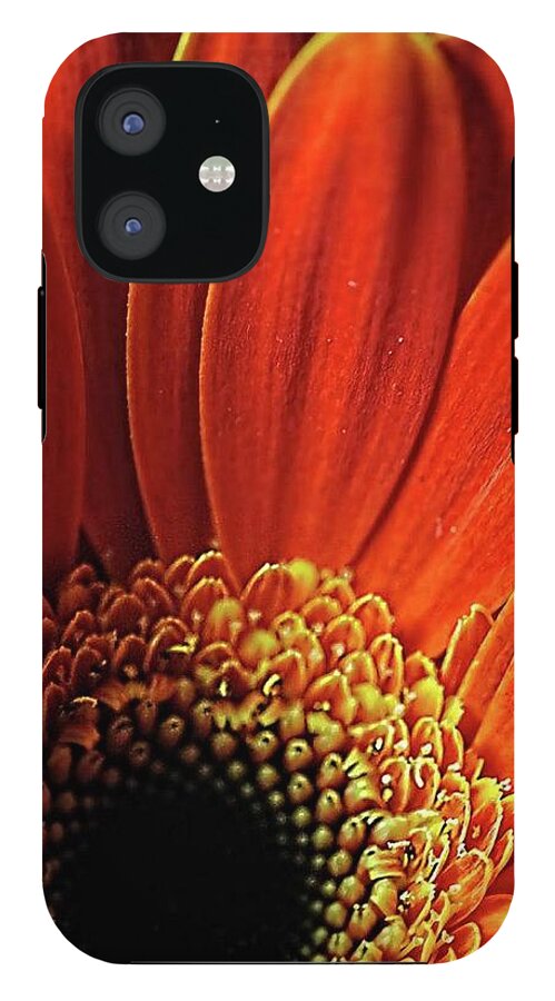 Orange Daisy Close Up - Phone Case