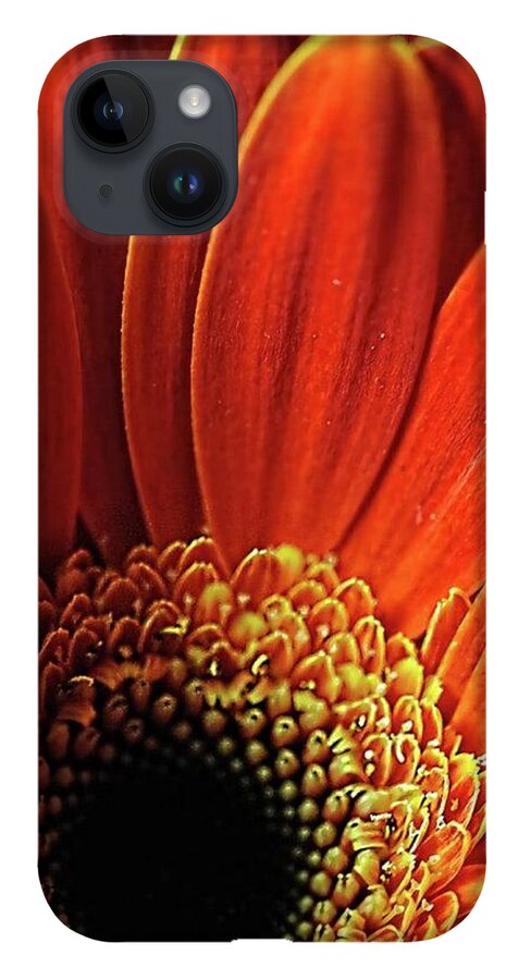 Orange Daisy Close Up - Phone Case