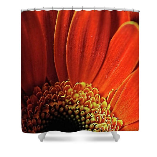 Orange Daisy Close Up - Shower Curtain
