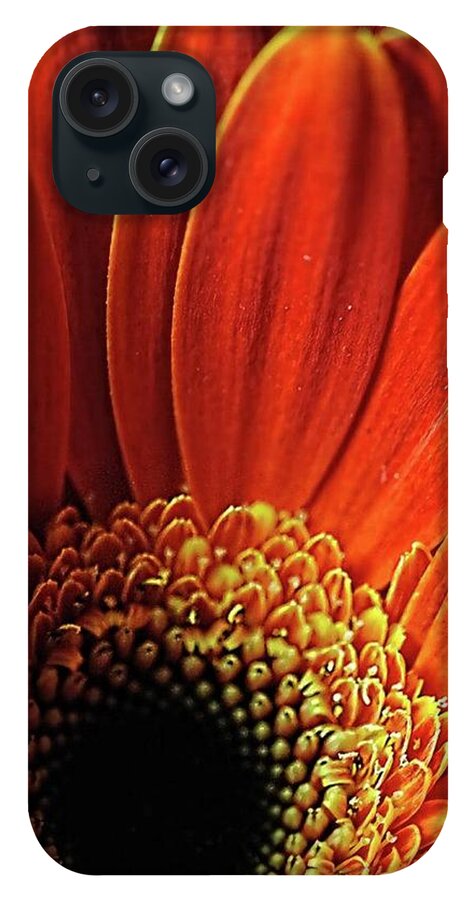 Orange Daisy Close Up - Phone Case