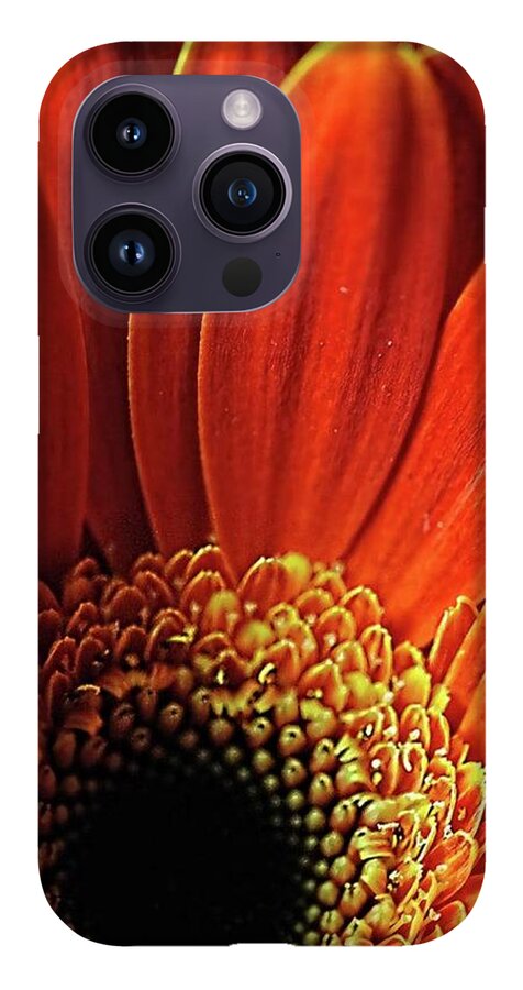 Orange Daisy Close Up - Phone Case