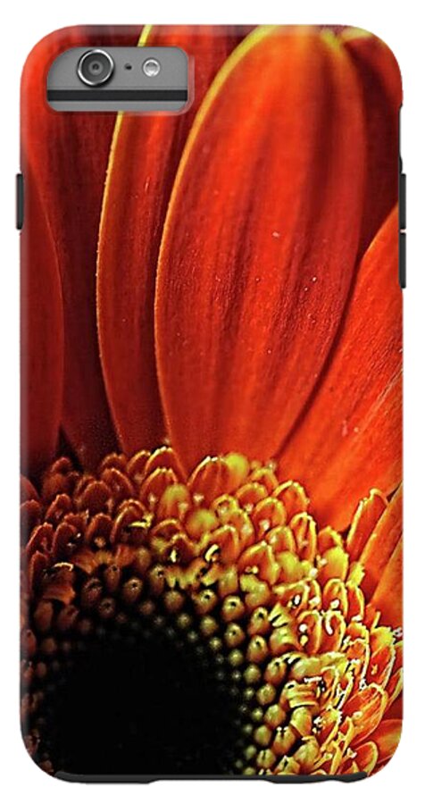 Orange Daisy Close Up - Phone Case