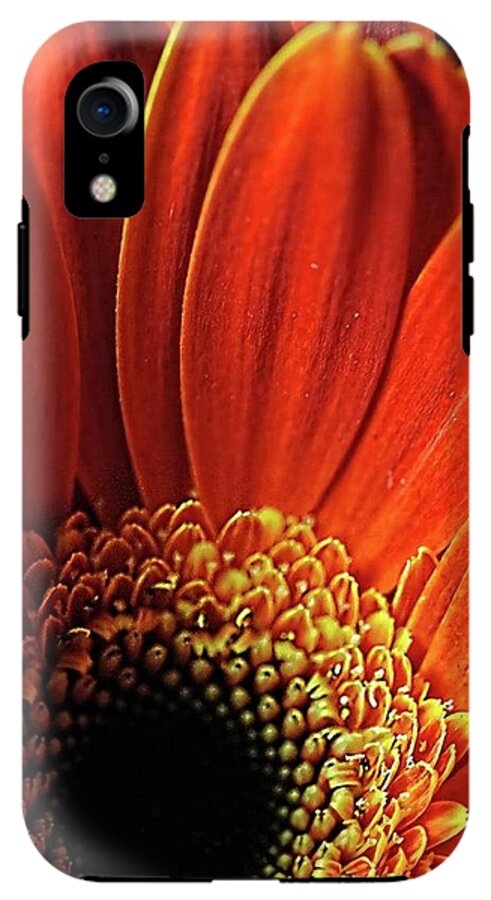 Orange Daisy Close Up - Phone Case
