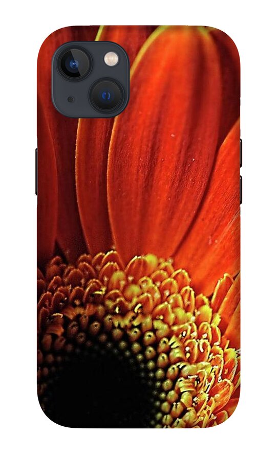 Orange Daisy Close Up - Phone Case