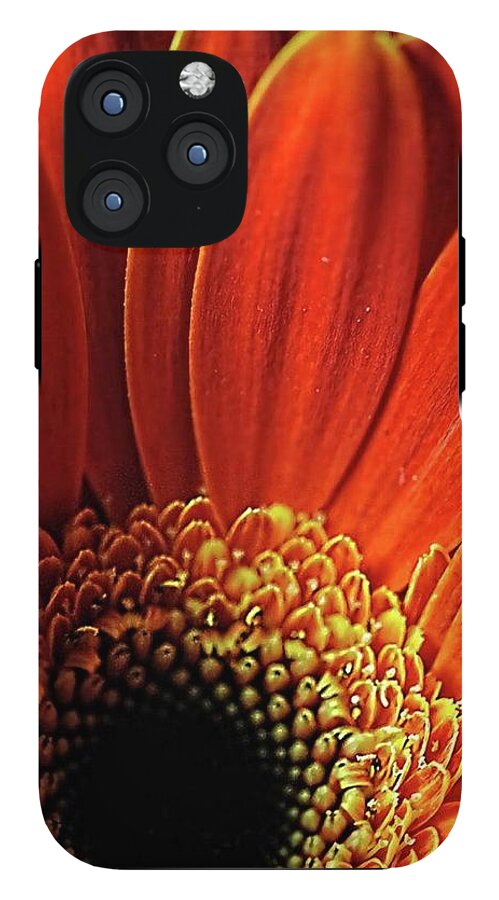 Orange Daisy Close Up - Phone Case