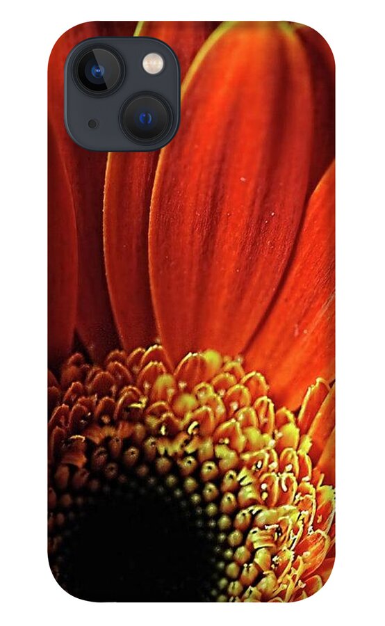 Orange Daisy Close Up - Phone Case