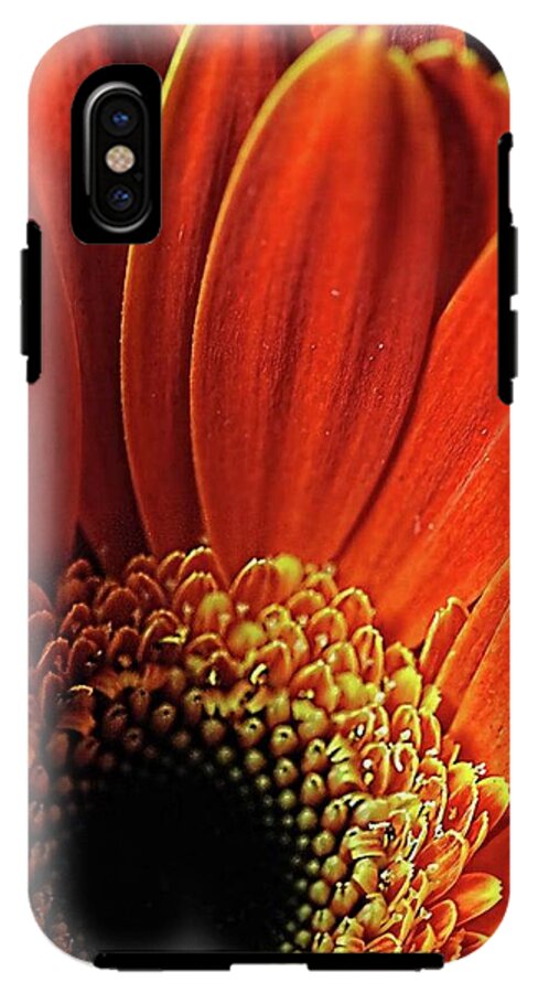 Orange Daisy Close Up - Phone Case