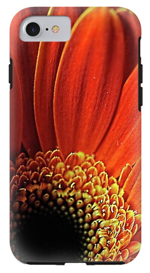 Orange Daisy Close Up - Phone Case