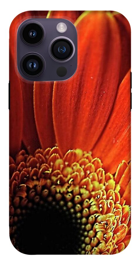 Orange Daisy Close Up - Phone Case