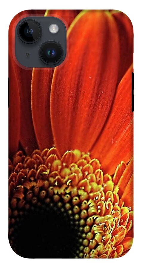 Orange Daisy Close Up - Phone Case