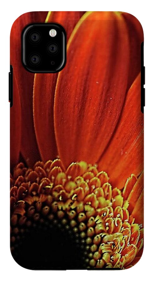 Orange Daisy Close Up - Phone Case