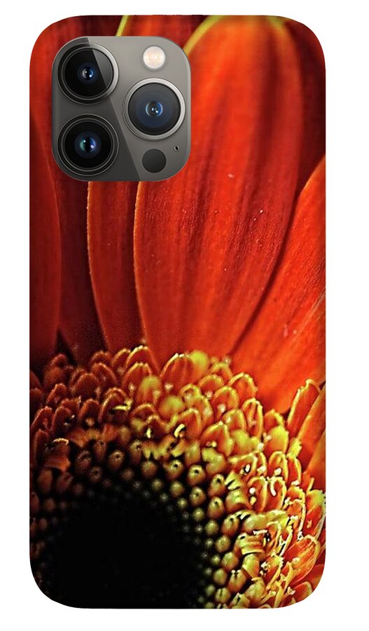 Orange Daisy Close Up - Phone Case