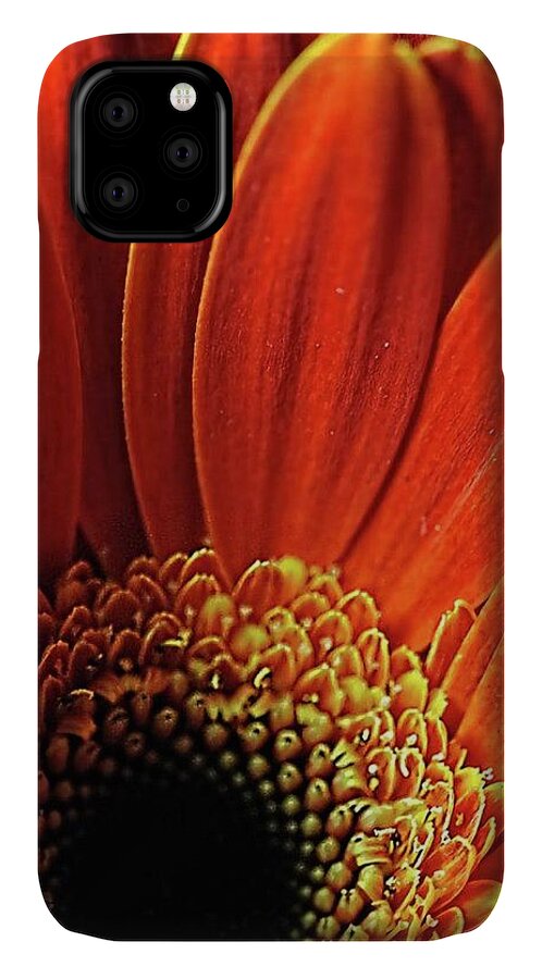 Orange Daisy Close Up - Phone Case