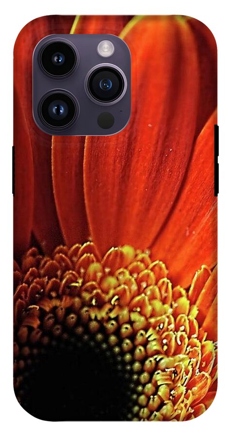 Orange Daisy Close Up - Phone Case