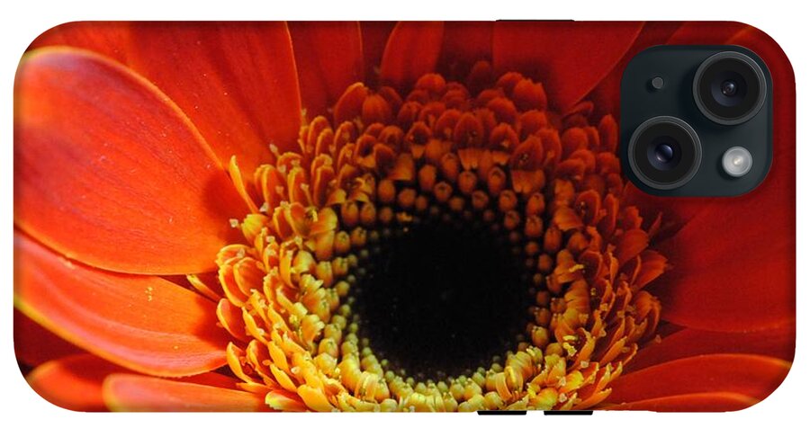 Orange Daisy On Black - Phone Case