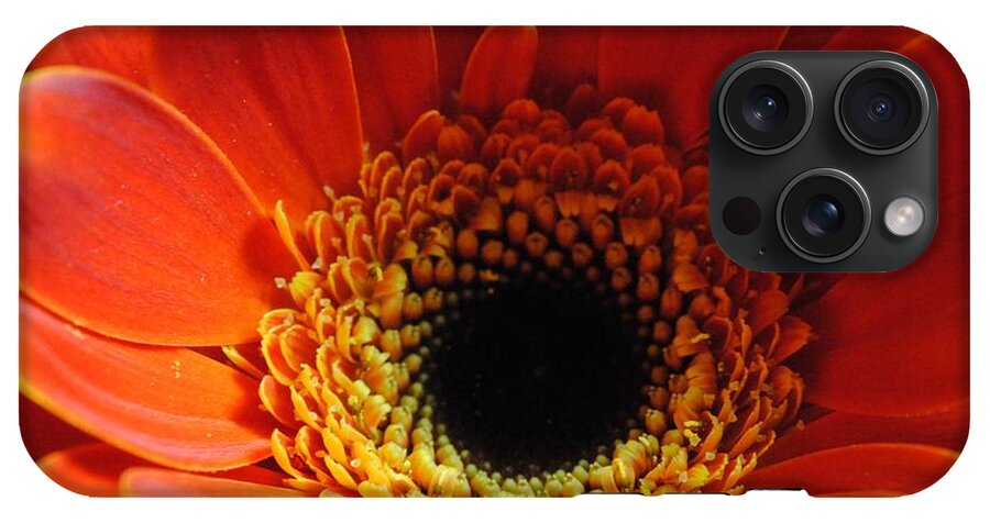 Orange Daisy On Black - Phone Case