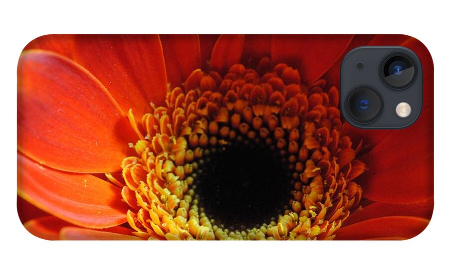 Orange Daisy On Black - Phone Case