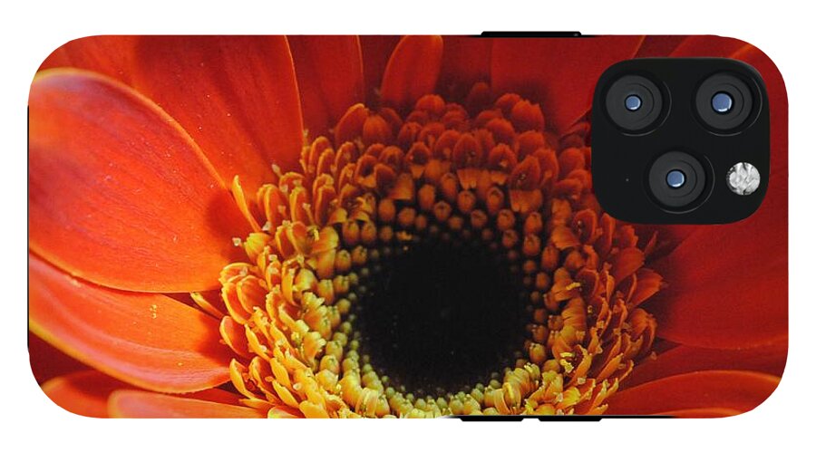 Orange Daisy On Black - Phone Case