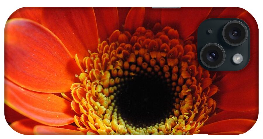 Orange Daisy On Black - Phone Case
