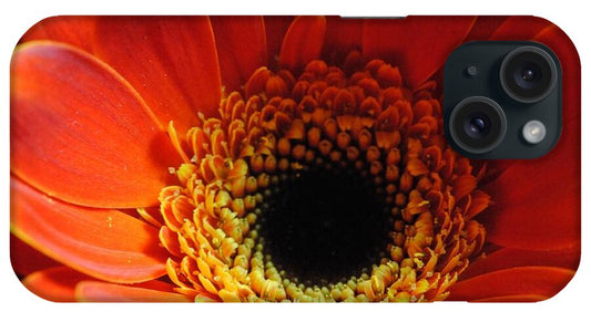 Orange Daisy On Black - Phone Case