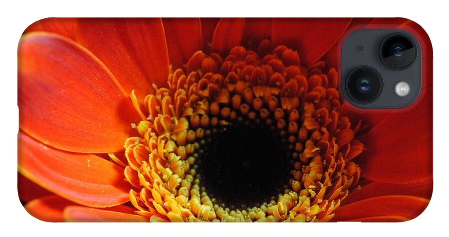 Orange Daisy On Black - Phone Case