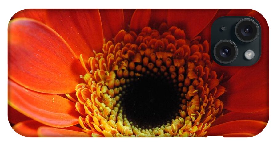 Orange Daisy On Black - Phone Case