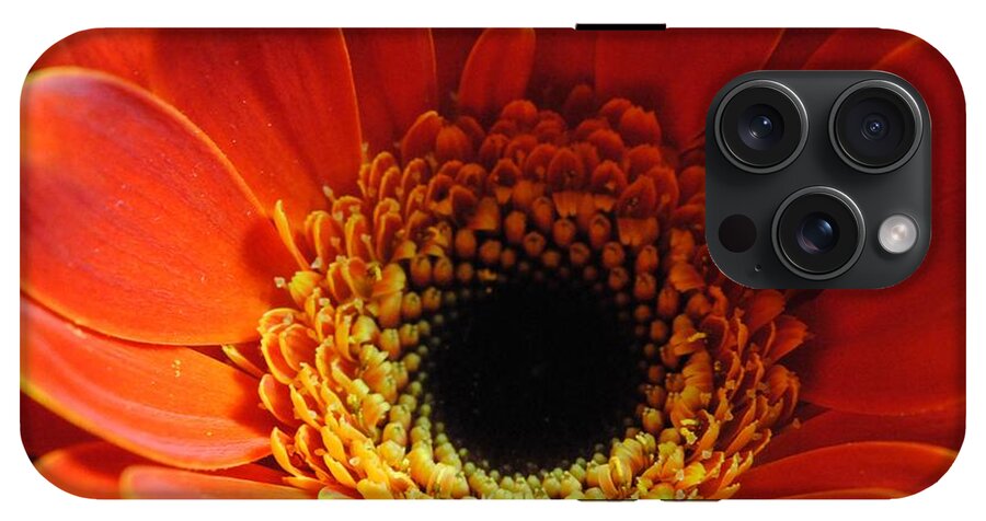 Orange Daisy On Black - Phone Case