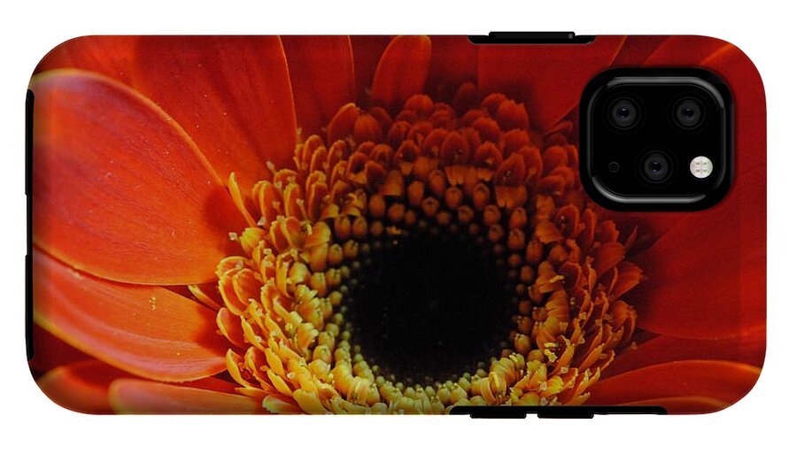 Orange Daisy On Black - Phone Case
