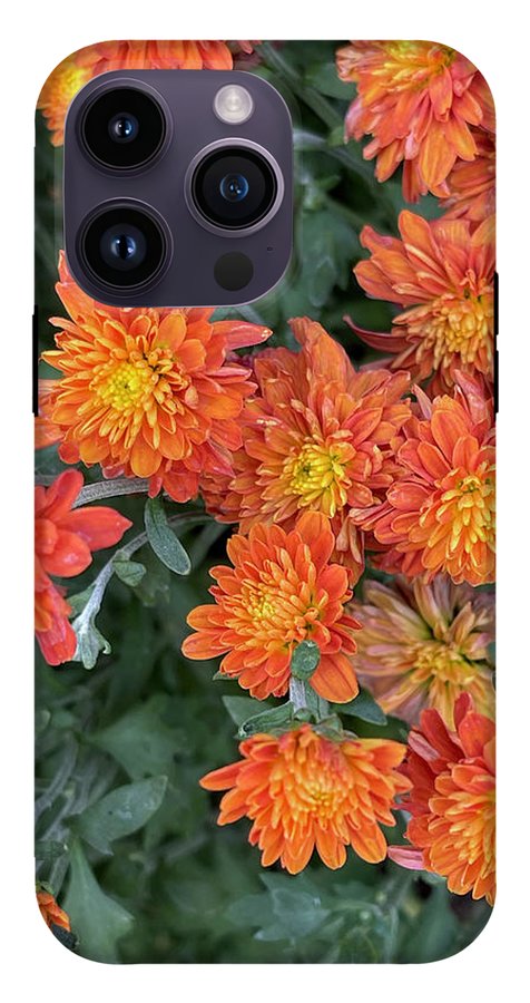 Orange Mums walk - Phone Case