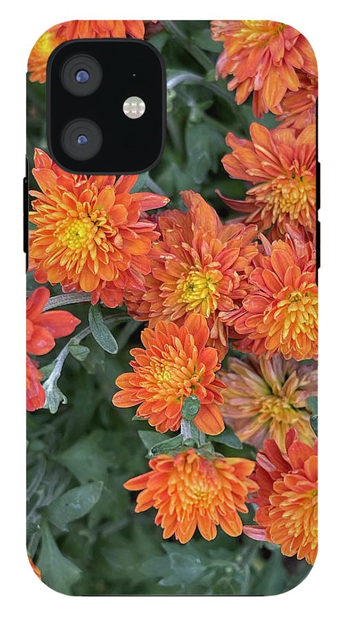 Orange Mums walk - Phone Case