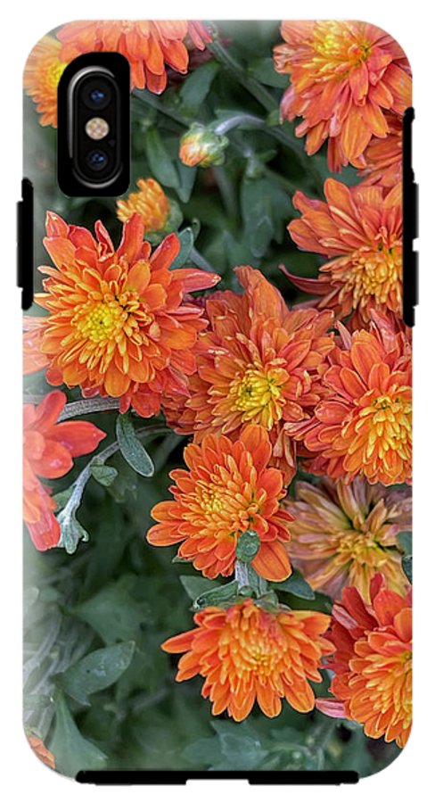 Orange Mums walk - Phone Case