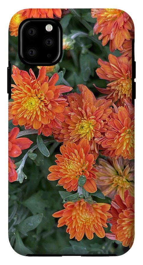 Orange Mums walk - Phone Case