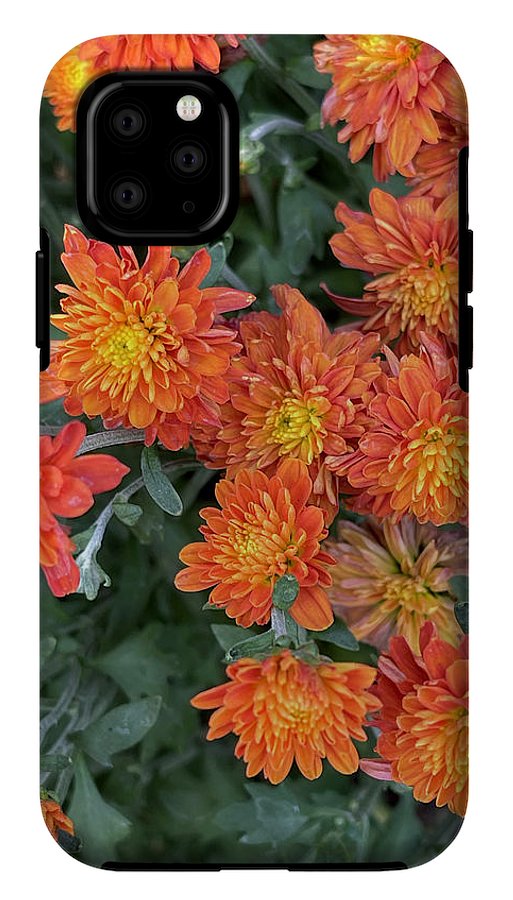 Orange Mums walk - Phone Case