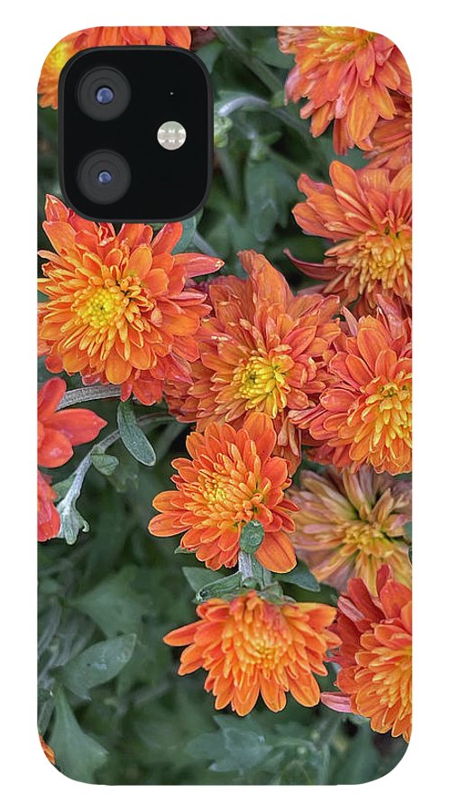 Orange Mums walk - Phone Case